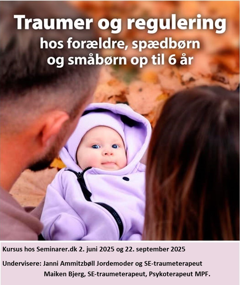 https://seminarer.dk/kurser/traumer-og-regulering-hos-foraeldre-spaedboern-og-smaaboern-op-til-6-aar/